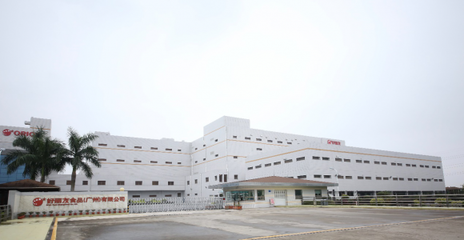 抗疫保供，食業(yè)在行動——廣州物流的堅實支撐