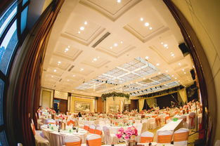 大慶藝群婚慶 以專業(yè)匠心，雕琢您的豪華婚禮夢(mèng)想