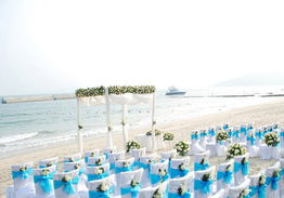 愛在天涯，情定海角 三亞國(guó)際婚慶節(jié)盛大啟幕，打造浪漫產(chǎn)業(yè)新標(biāo)桿